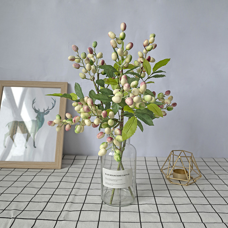 Desk Setup At Home - Simulated Olive Fruit Berry Bean Branch