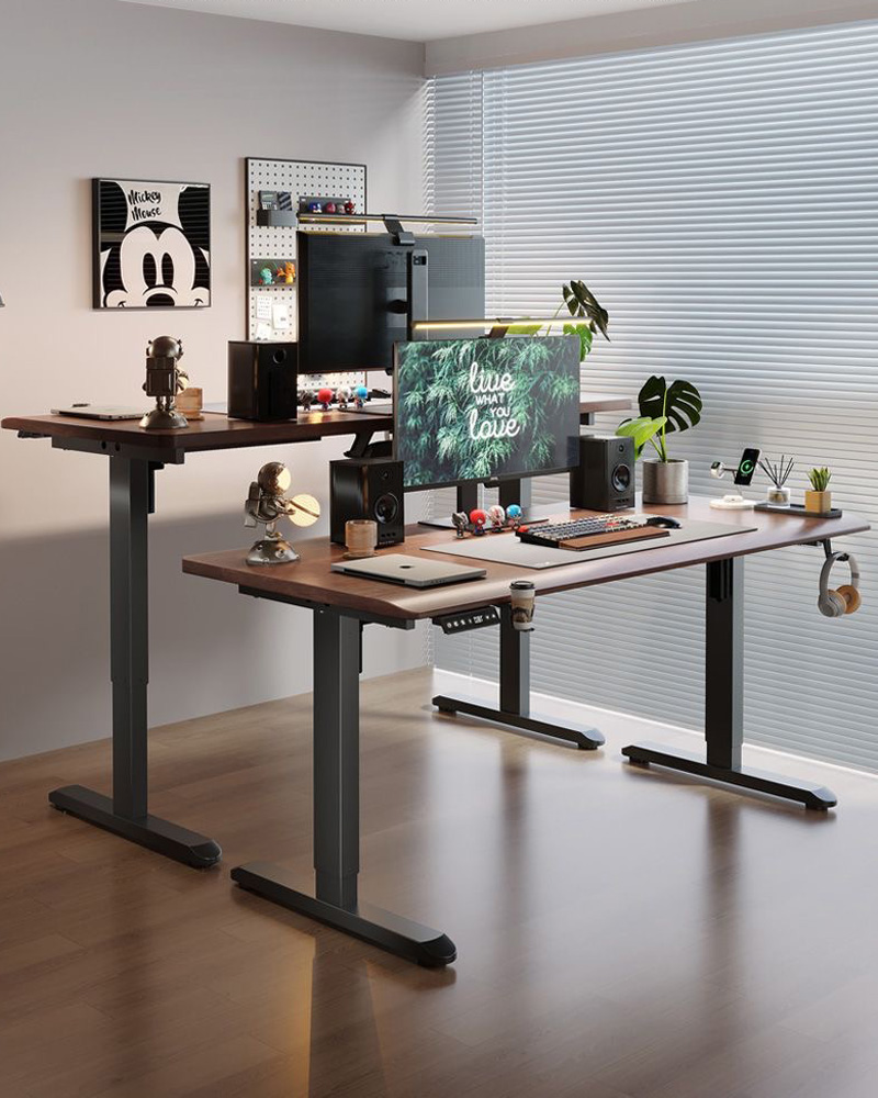 5-year warranty DIY single mot - Desk Setup Pc のレビューと価格