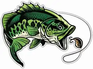 Perch Fishing Stickers Window  - Desk Setup Notebook のレビューと価格